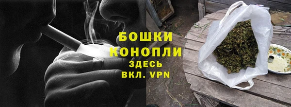 твердый Ладушкин