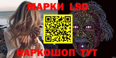 гашик Донецк