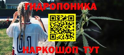 гашик Донецк