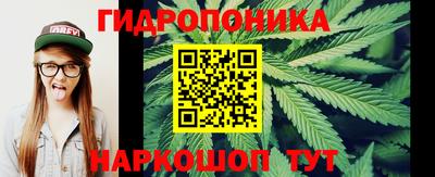jwh Донской